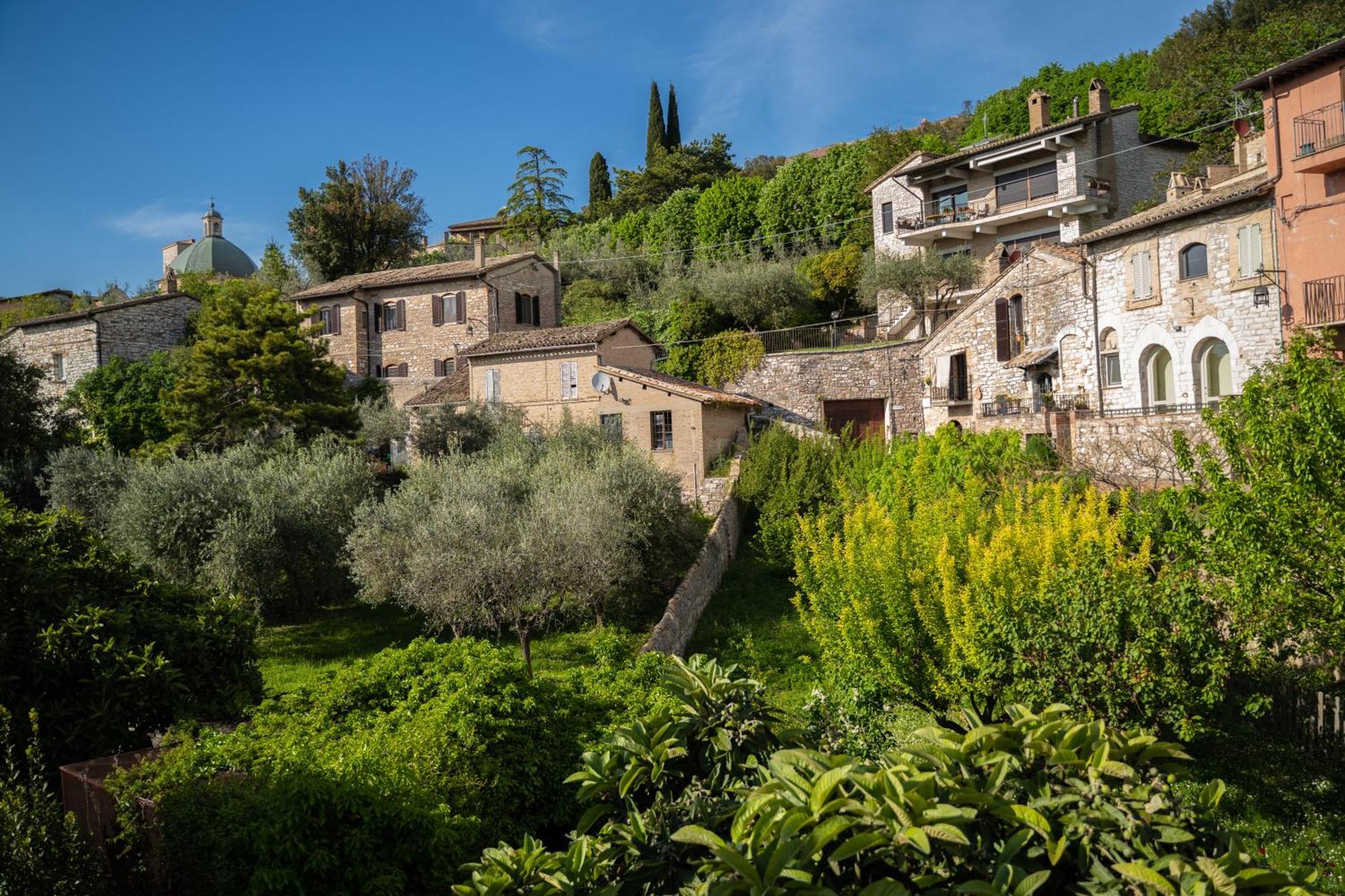 Hotel Belvedere Assisi Dış mekan fotoğraf