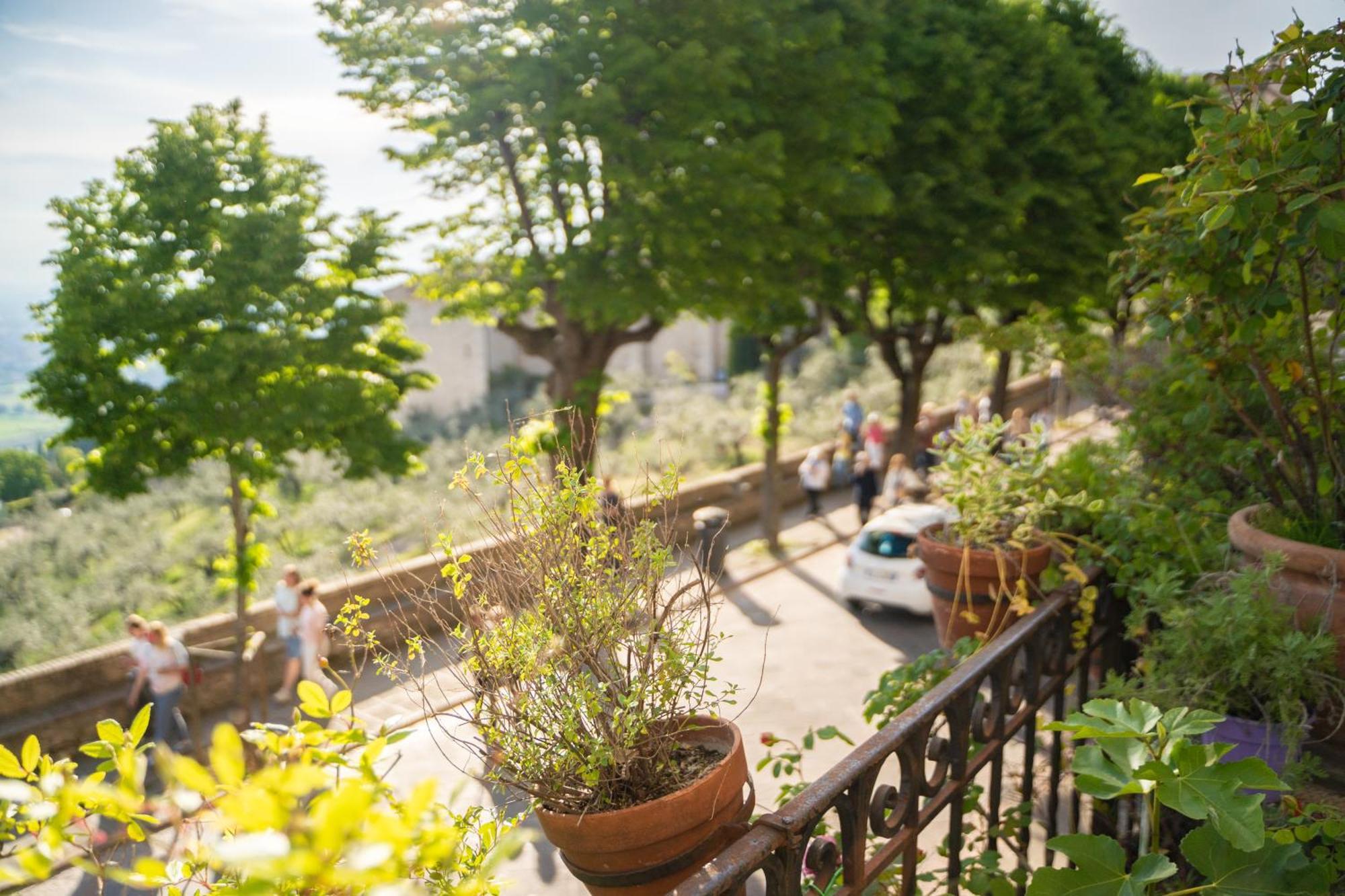 Hotel Belvedere Assisi Dış mekan fotoğraf