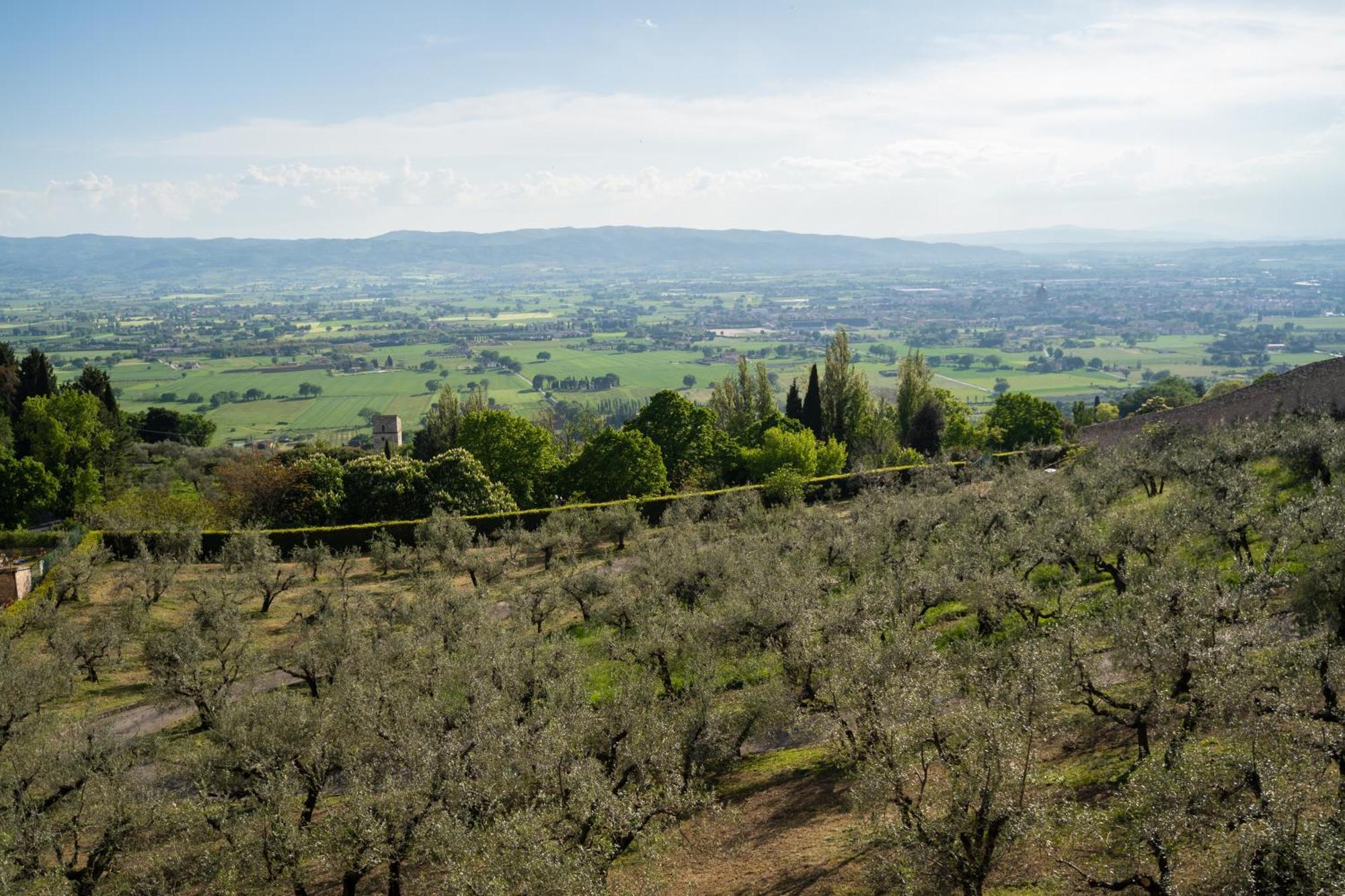 Hotel Belvedere Assisi Dış mekan fotoğraf